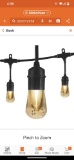 Enbrighten 24 Bulbs 48 ft. Outdoor/Indoor Black Vintage LED String Lights, Acrylic Edison Bulbs,