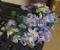 Artificial Flowers $1 STS