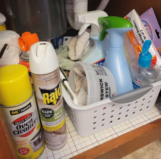 Assorted Cleaners $1 STS