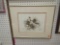 Framed Print of A Close Up of a Cats Face by Charlotte Young, Approximate Dimensions - 16