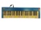 SUZUKI SPW-49 Keyboard Controller, Digital MIDI Controller with Colorful Keys