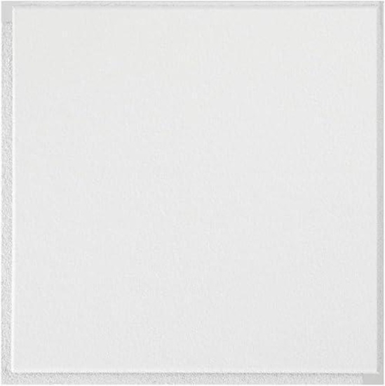 Washable White 1 Ft. X 1 Ft. Clip up or Glue up Ceiling Tile (40 Sq. Ft./case)