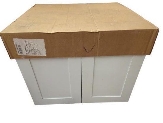Southeastern Tan Wall-Mounted Cabinet - 30x24x24 Inches, Standard Depth, Includes AS3024 Shelf