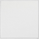 Washable White 1 Ft. X 1 Ft. Clip up or Glue up Ceiling Tile (40 Sq. Ft./case)