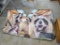 Car Windshield Sunshade With Raccoon Design