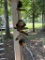 Hanging Frog-Themed Wind Chime With Driftwood Accents,