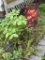 2 Outdoor Decor Items: Pumpkin Flag and Metal Garden Accessory,
