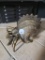 Bronze Hermit Crab Figurine With Seashell, 4H,