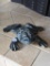 Cast Iron Frog Figurine, , VM 1995, 6L 2H