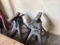 Lot of Multiple Jack Stands