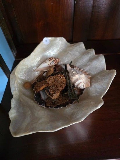 Large Decorative Shell Bowl With Potpourri, 10L