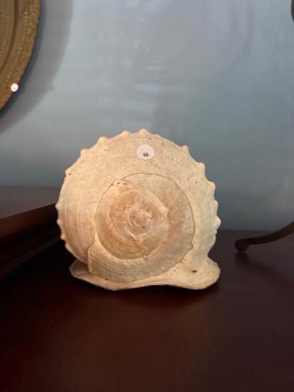 Large White Seashell Decor Piece with Spiral Design