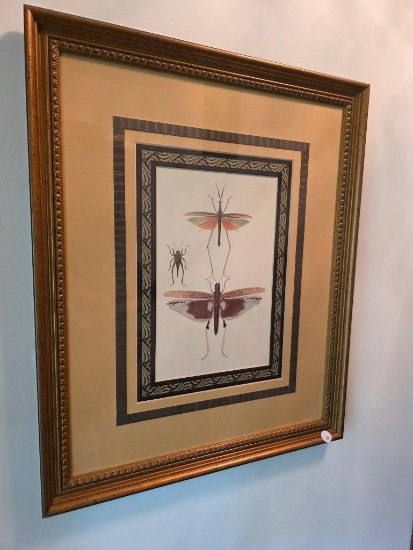 18X22 Pair of Framed and Double Matted Insect Prints in