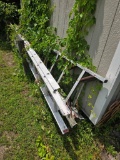 Lot of Two Ladders: One Extension and One Regular