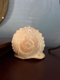 Large White Seashell Decor Piece with Spiral Design