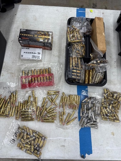 Open Box Lot of Assorted Ammunition with Ammo Safety Carrier