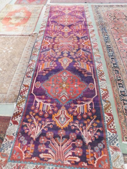 Hamedan Rug 3'6" x 11'10"