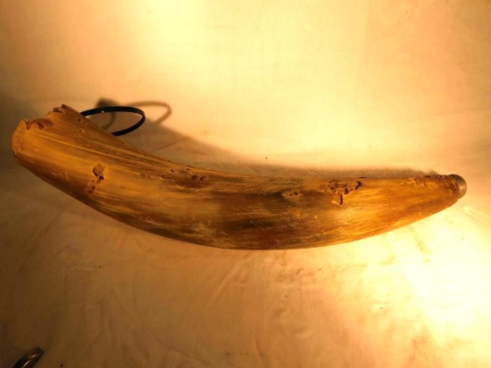 Real Horn Powder Horn