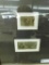 Framed United States Vintage Fractional Currency each 50 Cents