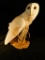 Franklin Mint The Barn Owl