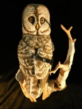 Franklin Mint The Great Grey Owl