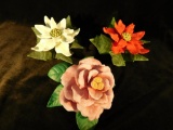 Lenox Red Poinsettia - Lenox White Poinsettia - Lenox Camellia