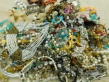 Approx. 10# of Costume Jewelry #6