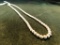 Sterling Silver - Silver Ball Necklace - 16
