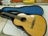 Giannini Brazil Acoustic Guitar in Case