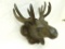 Cast Iron Elk / Moose Wall Hanging