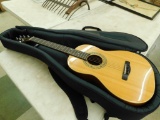 Samich - Greg Bennett - Acoustic Guitar - Model ST6-2 with Canvas Case