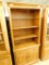 Thomasville - Lighted Book Shelf
