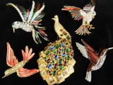 Group of 5 Bird Brooches - Costume Jewelry