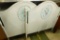 Pair of Twin Beds - Headboards Only - Hand Painted Medallion - Each 45.5