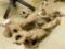 Driftwood Coffee Table Base - 16
