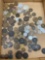 lot of foreign coins