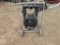 Ingersoll Rand PD30A-AAS-FGG-C 3 in. Diaphragm Pump