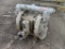 Ingersoll Rand PD10A-AAS-GGG 1 in. Diaphragm Pump