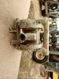 Ingersoll Rand P010A-AAS-GGG 1 in. Diaphragm Pump