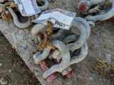 (5) 3/4 in. 4 3/4 Ton Shackles