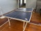 Ping Pong Table