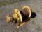 Winch