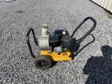 2005 Titan LMHT43550P 3in. Trash Pump