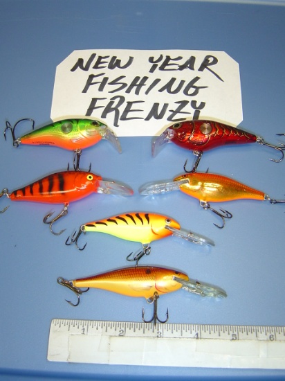 6 ASSORTED COLOR RAPALA DIVER LURES