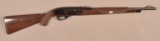 Remington Nylon 66 .22 rifle