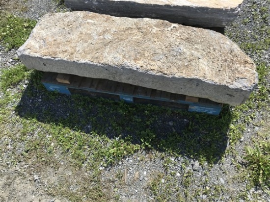 Limestone coping/step stone