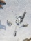 (10) Goose Decoy Silhouettes