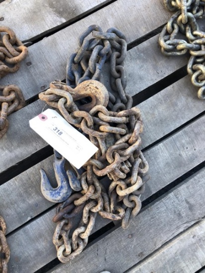 (2) 3/8" Chain with Double Hook
