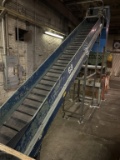 Ramco Granulator with Hytrol Infeed Conveyor
