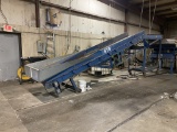 Incline Conveyor